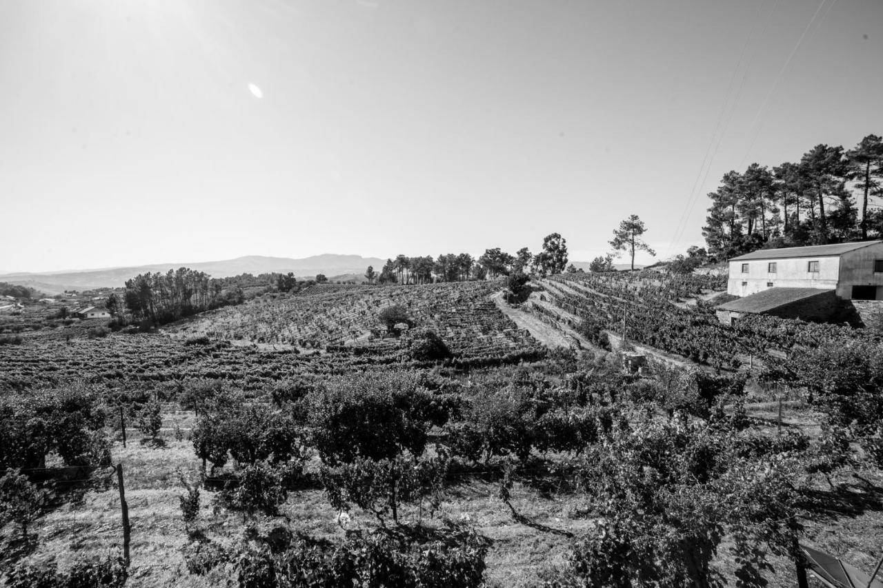 Quinta Da Estrada Winery Douro Valley Пезу-да-Регуа Екстер'єр фото